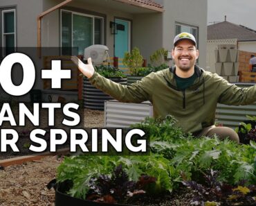 50+ Plants I’m Growing In My Spring Garden 🌱 🌷 🥕