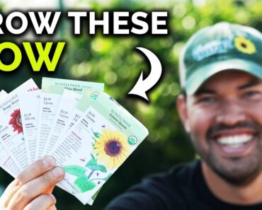 5 Veggies You Can Still Start In Early July