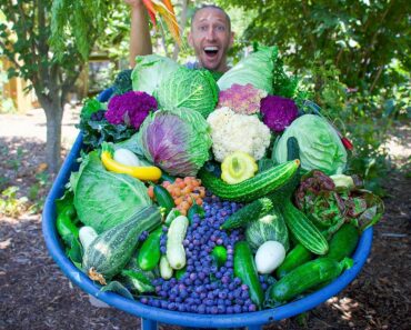 Incredible Backyard Garden Harvest 2022, This Is What I Harvested Today!