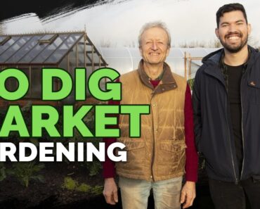 ​@CharlesDowding1nodig’s LEGENDARY No-Dig Market Garden (FULL Tour)