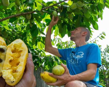 They said we were Crazy for growing this Fruit…