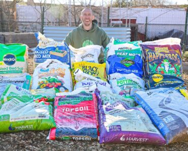 How to Choose BAGGED SOIL for Your Garden
