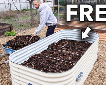 Fill Your Raised Garden Bed for FREE! 😮