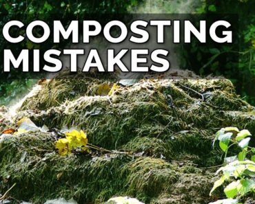 5 Hot Composting Mistakes to Avoid