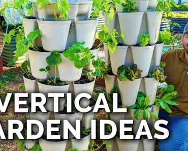 Grow THESE 3 Veggies in Your Vertical Garden