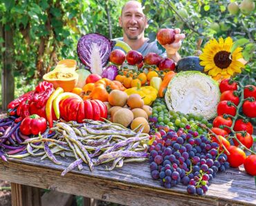 11-Year-Old Food Forest Garden Harvest! 🍎🍐🍇