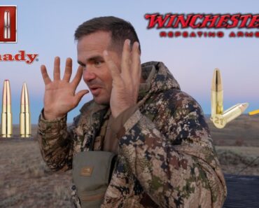 2 New Cartridges Just Released. What The *bleep* Is Going On!