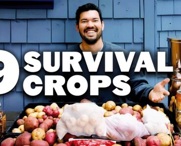 9 Survival Gardening Crops to Grow in a Post Apocalyptic World