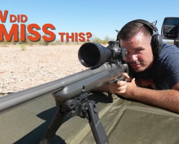 The Most Overlooked Gun Is Actually Incredible!