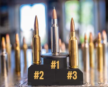 Most Popular Rifle Cartridges on the Market