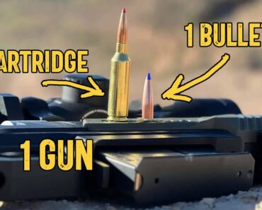 One Gun, One Cartridge, One Bullet for the Rest of Your Life