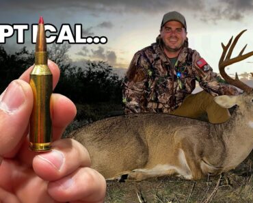 22 Creedmoor vs Big Bucks–I’m skeptical, but I’ll try anything once.