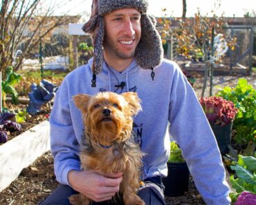 Tuck Health Update and Harvest