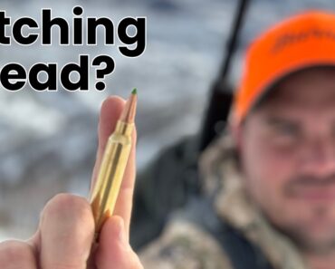 Lead vs Copper Ammo: It’s time for a change.