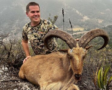 Hunting Deer & Sheep with a Straight-Pull Rifle (8 kill shots on video!)