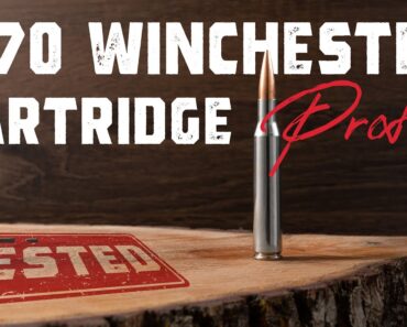 .270 Winchester Cartridge Profile:  11 Pros and Cons