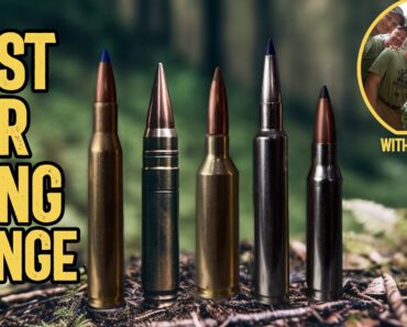 5 Best Cartridges for Long Range Shooting