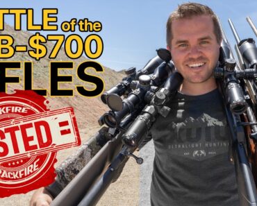 Battle of the Sub-$700 Rifles: Who wins?