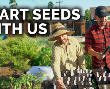 Start Seeds With Us: Spring Flowers, Summer Crops, and More!