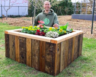 How to Build a RAISED BED Using RECYCLED PALLETS, FREE Backyard Gardening