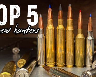 5 Best Cartridges & Calibers for New Hunters