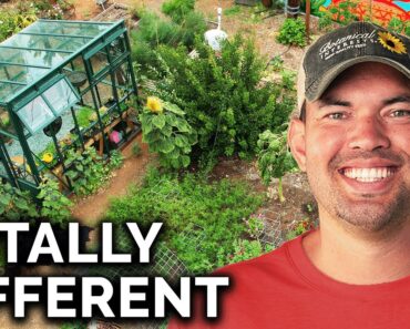 INCREDIBLE Garden Transformation in Just 1 Year (Full Tour)