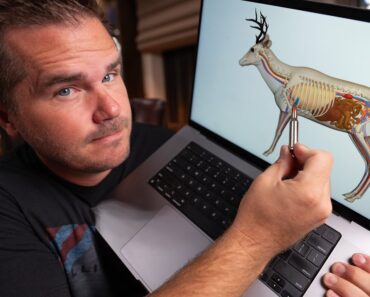 High-shoulder vs Lung shot: Where to Shoot a Deer with a rifle