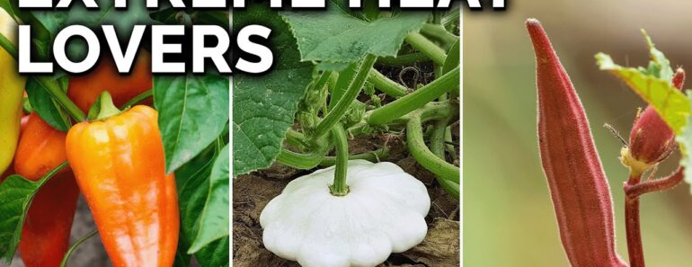 7 Perfect Vegetables to Grow in Hot Climates
