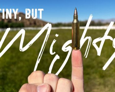 22-250 Remington: One of my all-time favorite cartridges