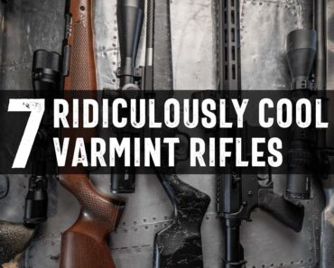 7 Excellent Varmint Rifles