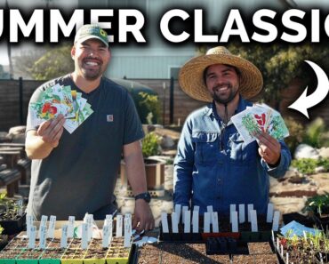 Start Seeds With Us: Everything You Need For Summer!