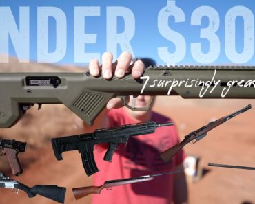 7 Surprisingly Great Guns Under $300