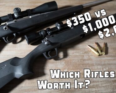 $350 Hunting Rifle vs $1,000 vs $3,000 – What you Actually Get for the Price