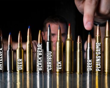 Best Cartridge for Each Big Game Animal: My picks