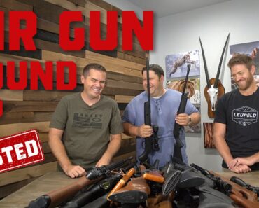 Best Inexpensive Air Rifle for Adults (Over 20 Guns reviewed!)