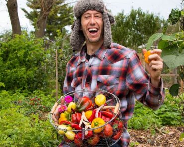 Backyard Gardening Harvest, Organic Food Forest