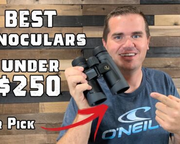Leupold BX-2 Alpine Binocular Owners Review – The Best Optics under $250