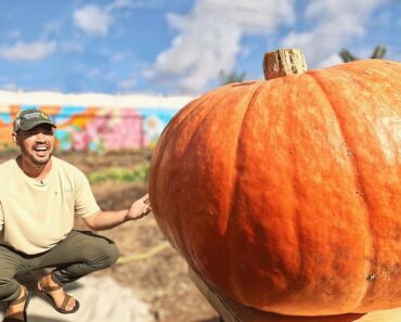 I Tried Growing a Giant Pumpkin Using a Chicken