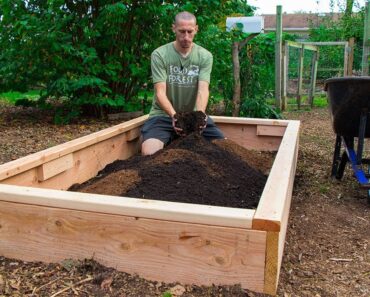 How to Build a Raised Bed CHEAP and EASY, Backyard Gardening