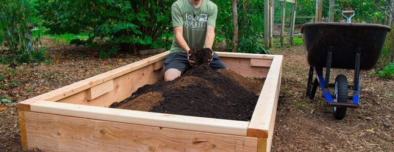 How to Build a Raised Bed CHEAP and EASY, Backyard Gardening