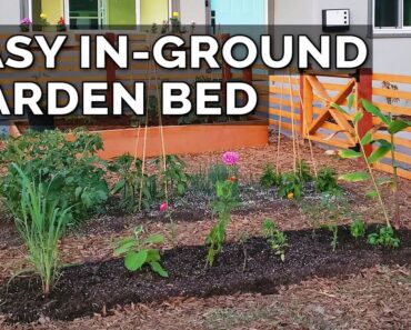 How to Improve Soil and Build an In-Ground Garden Bed