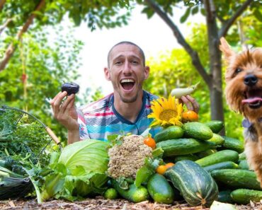 Backyard Garden HARVEST, YOU Can Do THIS!!