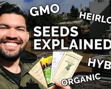 SEEDS EXPLAINED: Heirloom, Hybrid, Organic, and GMO Seeds 🌰
