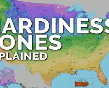 What Plant Hardiness Zones DON’T Tell You…