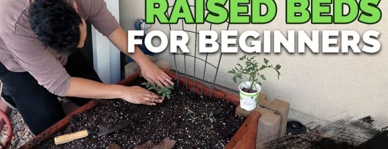 Raised Bed Gardens for Beginners – Planning, Soil Mix, and Planting Guide
