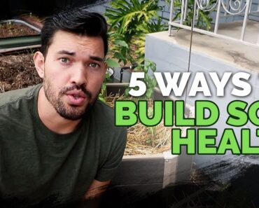5 Easy Ways To Build Soil Health For FREE 😱 🆓