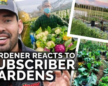 Gardener Reacts to Subscriber Gardens! 👀🌱🌿