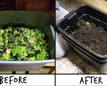 Building a Stackable DIY Worm Farm for $30 🐛