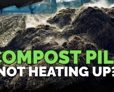 Making Compost: What To Do If Your Pile Isn’t Heating Up!