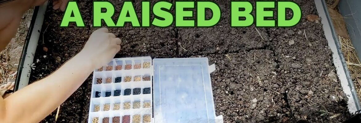 How to Maximize Space in a Raised Bed (High-Density Planting) 🌱